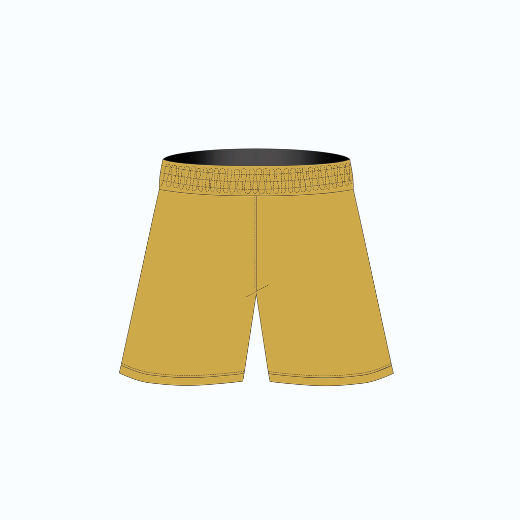 KL-Verdy-Gold-GK-Shorts-Back-100.webp